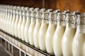 rows of fresh buttermilk bottles in line