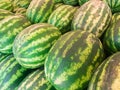 Rows of fresh green striped watermelons piled on the market counter