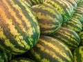 Rows of fresh green striped watermelons piled on the market counter