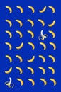 Rows of Fresh Ripe Banana on Royal Blue Background