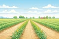 rows of freshly irrigated corn plants Royalty Free Stock Photo