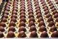 rows of freshly made chocolate shells cooling on a rack Royalty Free Stock Photo