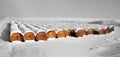 Rows of freshly snow covered round straw bales Royalty Free Stock Photo