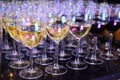 Rows of full champagne, sparkling wine and red wine glasses. Dining, drink. Royalty Free Stock Photo