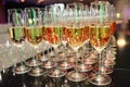 Rows of full champagne, sparkling wine and red wine glasses. Dining, drink. Royalty Free Stock Photo