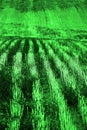 Rows and Furrows on Ploughed Field for Farming Agricultural Prod