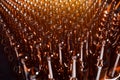 Rows of glass beer bottles brown color close up. Rows of glass beer bottles. Royalty Free Stock Photo