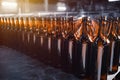 Rows of glass beer bottles of brown color close up on the stack. Royalty Free Stock Photo