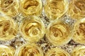 Rows of glass glasses with cool white champagne or wine in the bar. Royalty Free Stock Photo
