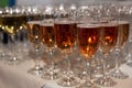 Rows of glasses with pink champagne on a festive buffet table. Exit registration of events. Close-up