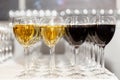 Rows of glasses with white and red wine on the festive buffet table. Exit registration of events. Close-up Royalty Free Stock Photo