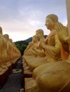 Rows of golden buddha statue