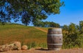 Rows of grape vines on rolling hills with a wine barrel in the foreground at a vineyard in Sonoma County, California, USA Royalty Free Stock Photo