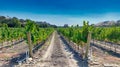 Fess parker winery Vineyard Buellton California Royalty Free Stock Photo