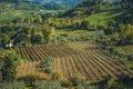 Rows of grapevine in rust and red form a carpet over the rolling hills in Tuscany