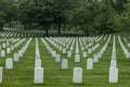 Rows of graves in Arlington National Cemetery