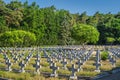 Rows of graves in military cemetery for fallen soldiers from 1st Polish Army, Polan