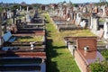 Rows of Gravestones in Disused Cemetery