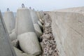 Rows of gray concrete four-legged breakwaters with metal eyelets on top, installed on shoreline along cement side of pier.