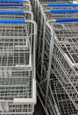 Rows of grocery carts