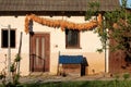 Rows of hanging corn cobs left to dry on warm spring sun above entrance doors to rural small rustic family house Royalty Free Stock Photo