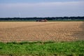 Rows of harvested onions, drying in a agricultural field waiting to be picked up. Tractor and onion loader in background