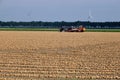 Rows of harvested onions, drying in a agricultural field waiting to be picked up. Tractor and onion loader in background