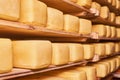 Rows of heads of cheese in maturing storehouse Royalty Free Stock Photo