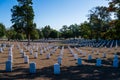 Rows of Headstones in Arlington National Cemetery