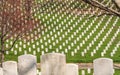 Washington DC / United States - April 03 2019: Headstones at Arlington National cemetery Royalty Free Stock Photo