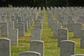 Rows of headstones in a cemetery 1 Royalty Free Stock Photo