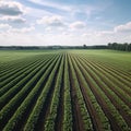 Rows of healthy vibrant crops stretch across a field all thanks to AIisted precision aiculture. . AI generation