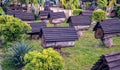 Rows of hives among green shrubs and grass. Traditional beekeeping or apiculture in fixed wooden logs in Abkhazia. Travel, tourism