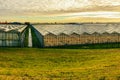 Horticulture greenhouses in sunset light, Westland, the Netherlands