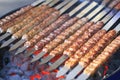 Rows of juicy beef kebab Royalty Free Stock Photo