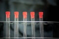 Rows of laboratory test tubes use for experiment scientist. For the science room and laboratory room