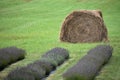 Rows of Lavender and a Haybale