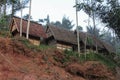 Rows of leuit or traditional rice barns photographed from below