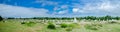 Rows of menhirs in Carnac, bretagne, France Royalty Free Stock Photo