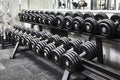Rows of metal heavy dumbbells on rack in sport gym