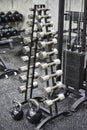 Rows of metal heavy dumbbells on stand in sport gym