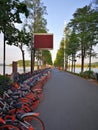 rows of mobike on the wuhan east lake greenway