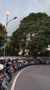 Rows of motorbikes neatly arranged in the Alun-alun kidul, Yogyakarta