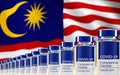 Rows of multiple Covid-19 vaccine vials with flag of Malaysia in background. Mass production and inoculation concept. 3d rendering Royalty Free Stock Photo