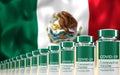 Rows of multiple Covid-19 vaccine vials with flag of Mexico in background. Mass production and inoculation concept. 3d rendering Royalty Free Stock Photo