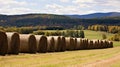 Rows of neatly piled hay bales creating an orderly arrangement