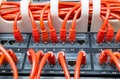 Rows of network cables connected to router and switch hub Royalty Free Stock Photo