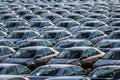 Rows of a new cars parked in a distribution center on a car factory on a sunny day Royalty Free Stock Photo