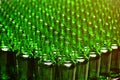 Rows of new empty green glass bottles. on the production line. Royalty Free Stock Photo