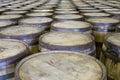 Rows of oak barrels in bourbon distillery Royalty Free Stock Photo